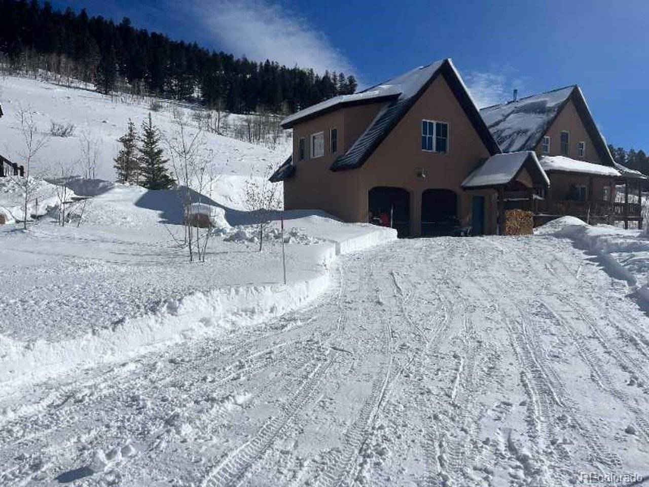 78 Janet, Crested Butte, CO 81224