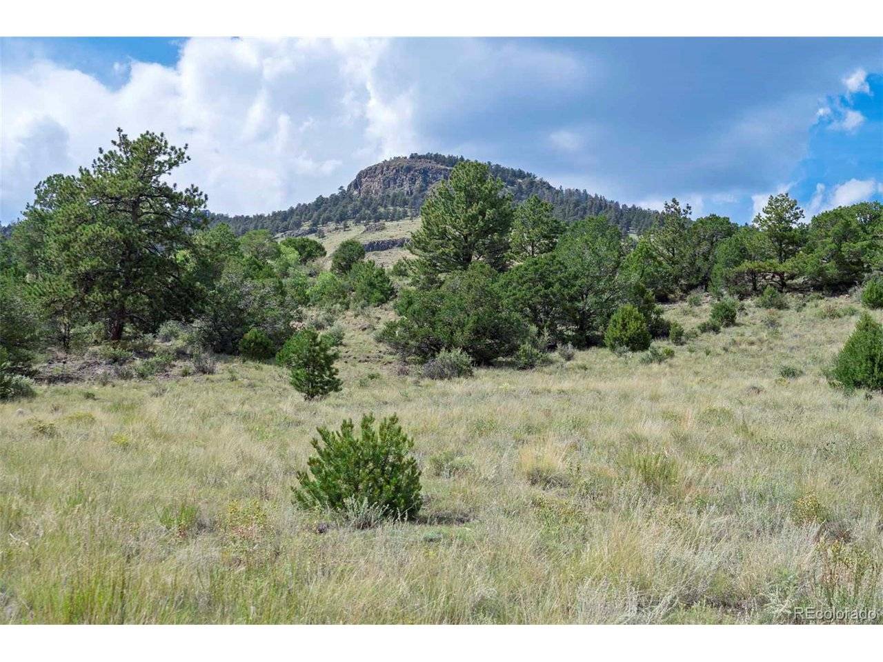 0 Witcher Mountain, Guffey, CO 80820