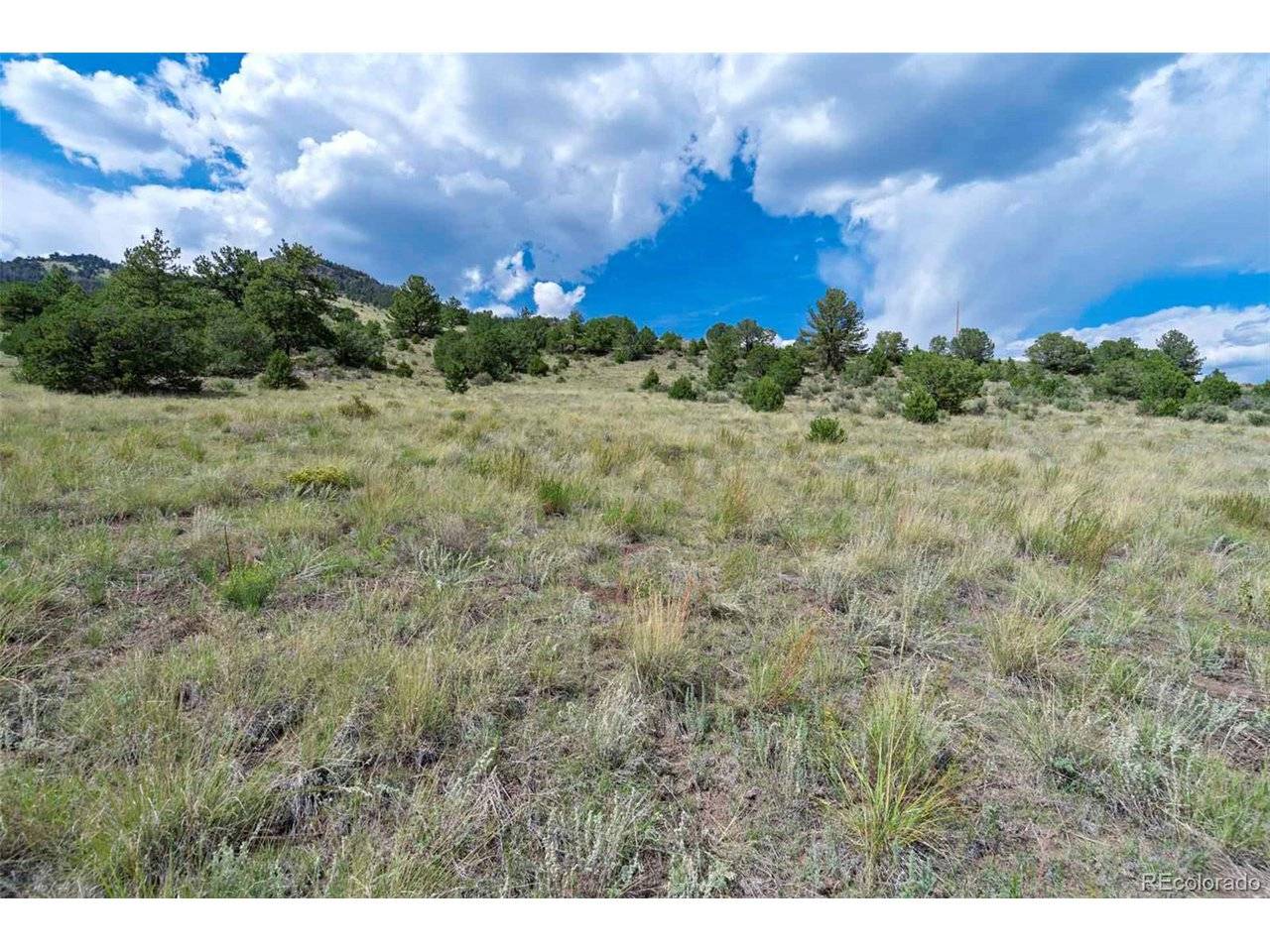 0 Witcher Mountain, Guffey, CO 80820