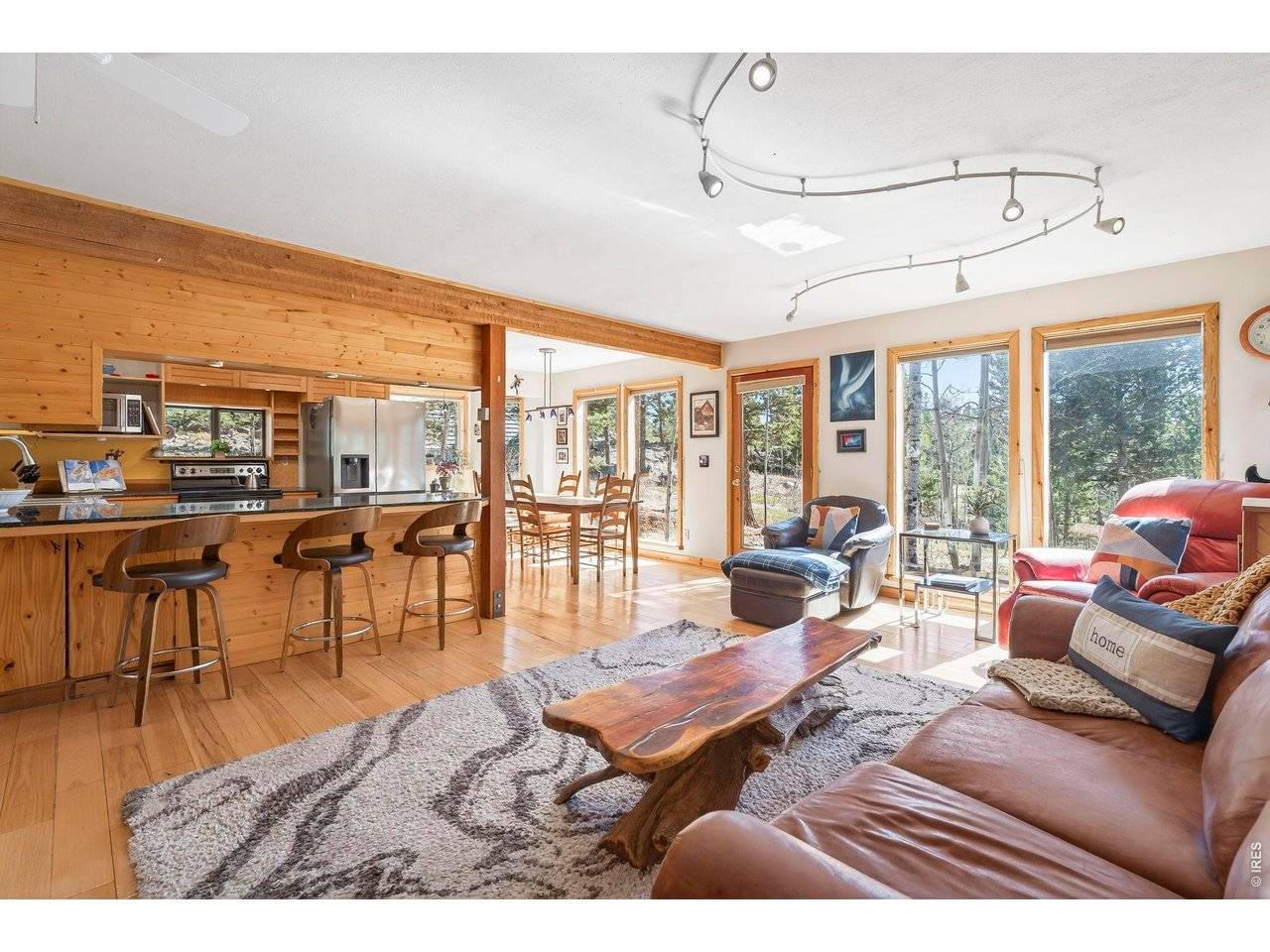 1856 Ridge, Nederland, CO 80466