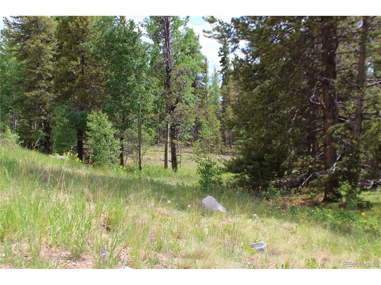 Glacier Ridge, Alma, CO 80420
