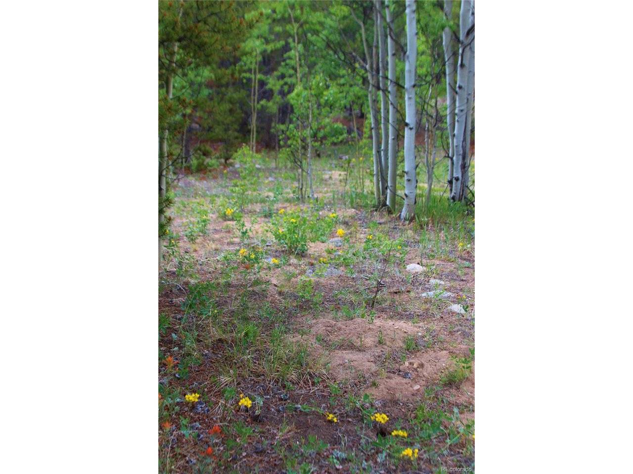 Glacier Ridge, Alma, CO 80420