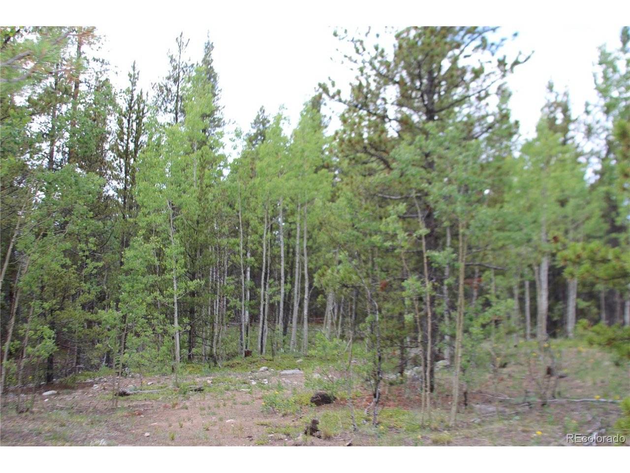 Glacier Ridge, Alma, CO 80420