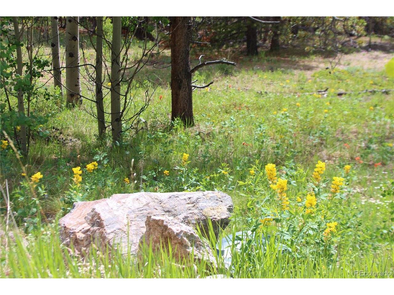 Glacier Ridge, Alma, CO 80420