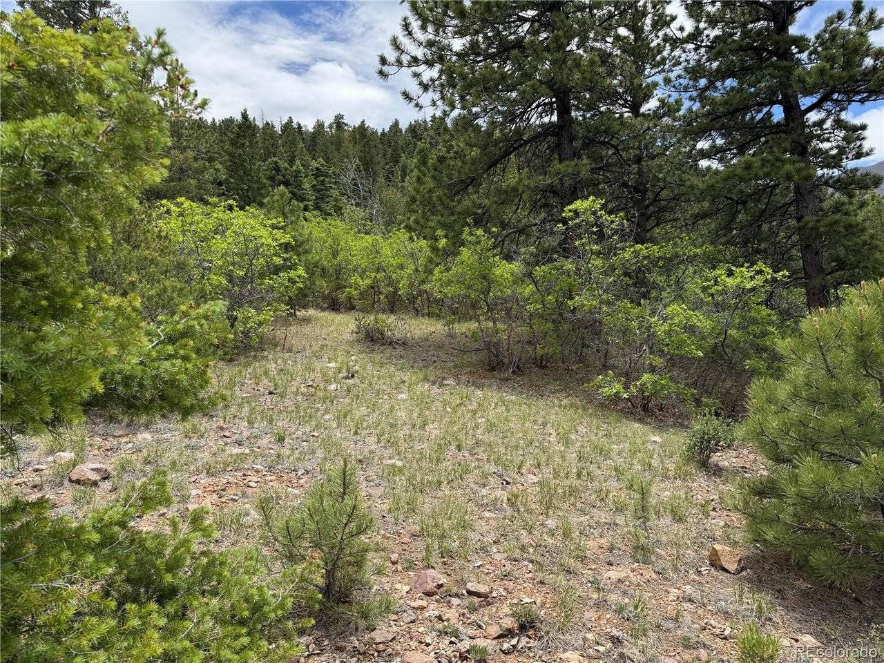 Address not disclosed, Howard, CO 81233