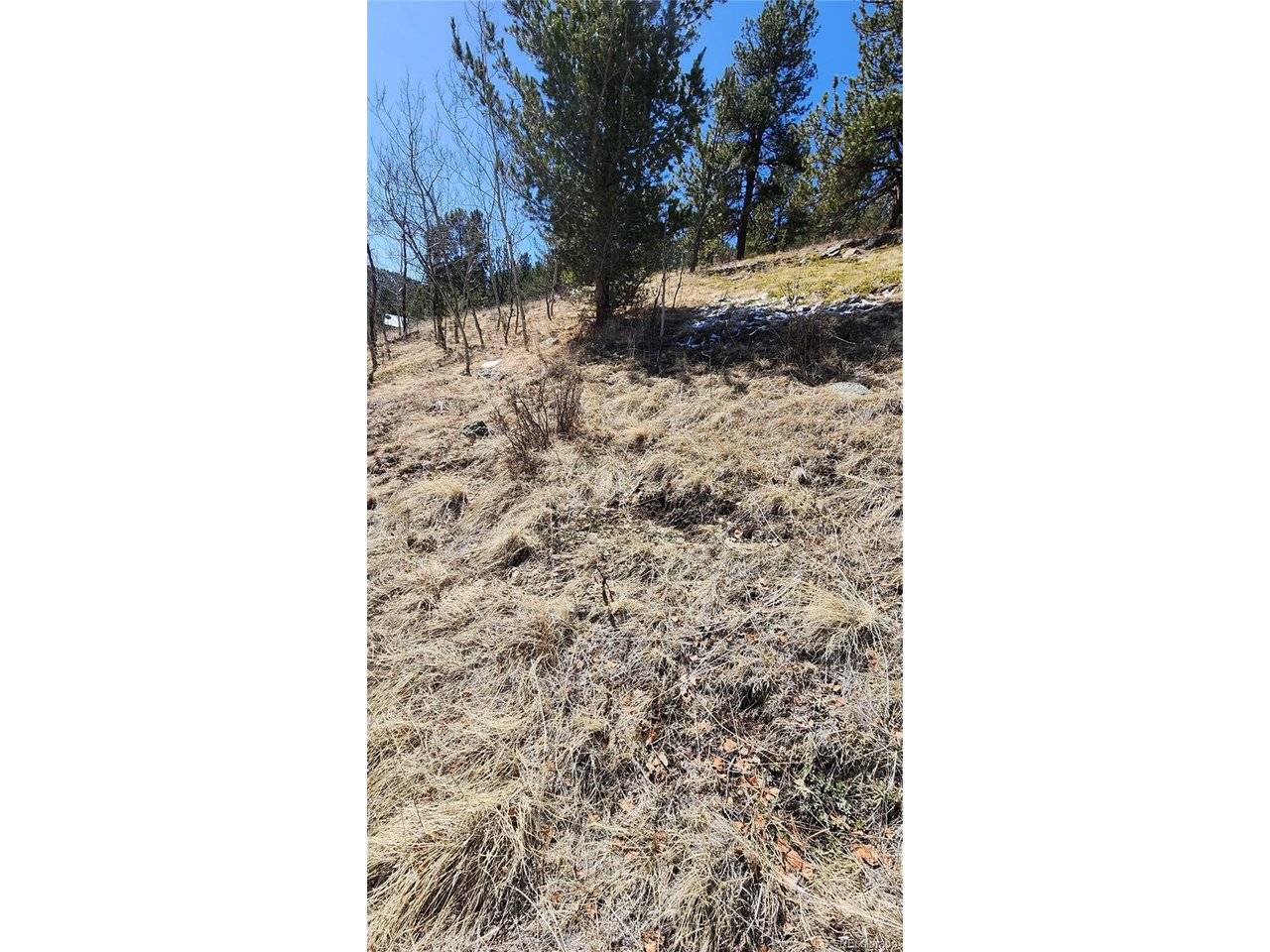 267 Ward, Bailey, CO 80421
