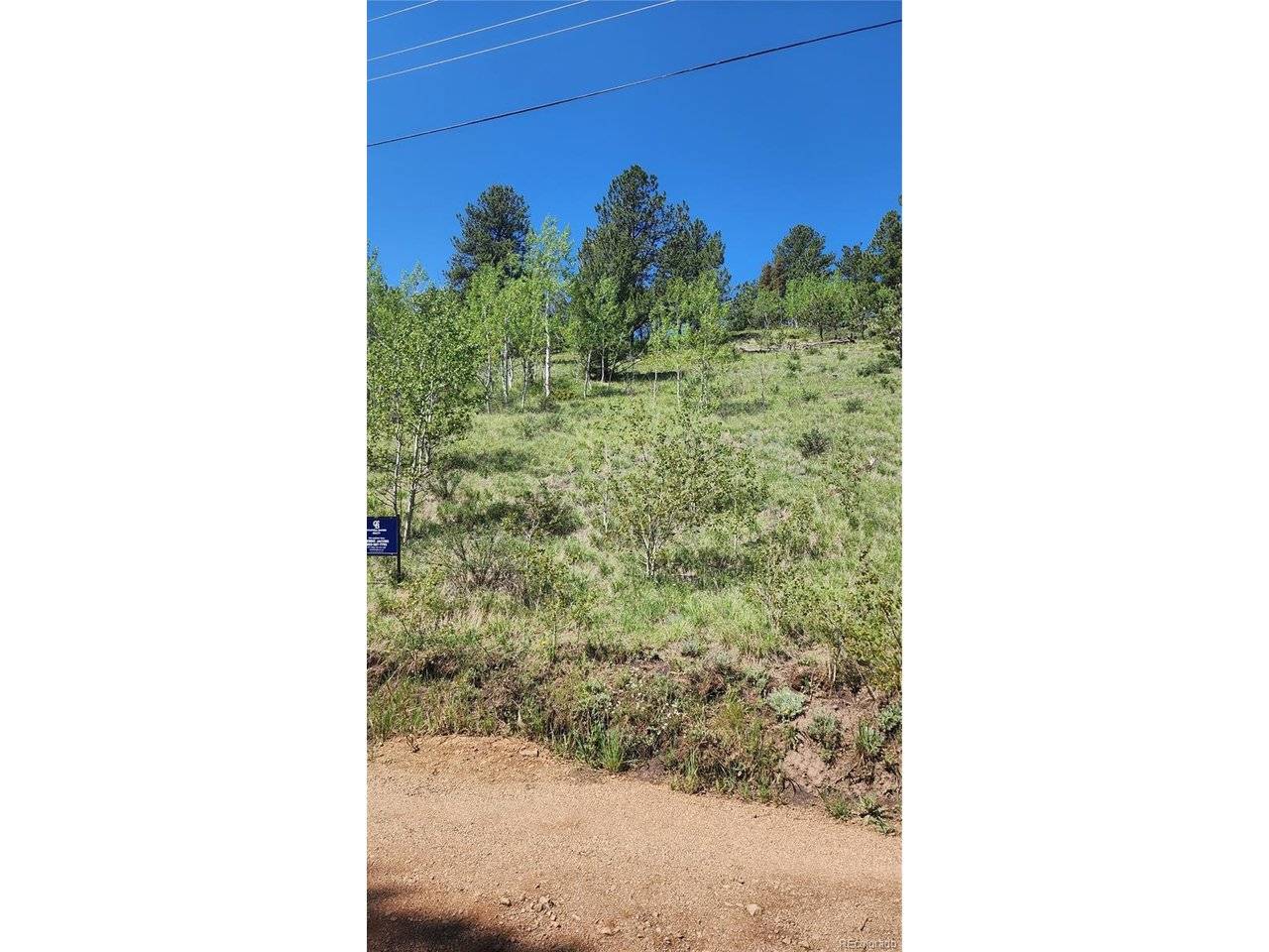 267 Ward, Bailey, CO 80421