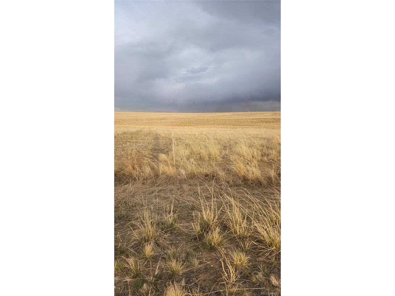 41382 Bijou View, Agate, CO 80101