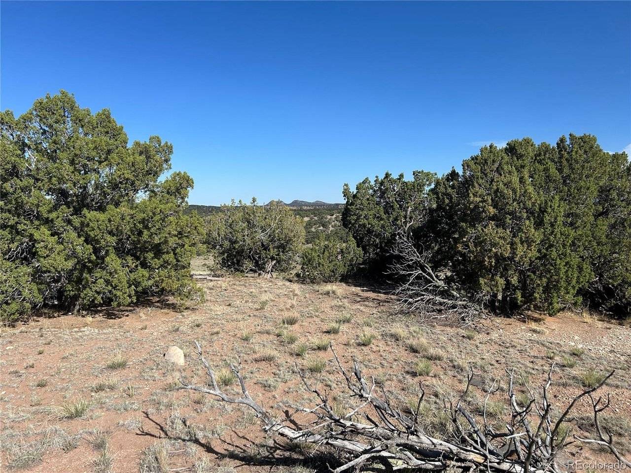 64 CL&G, Gardner, CO 81040