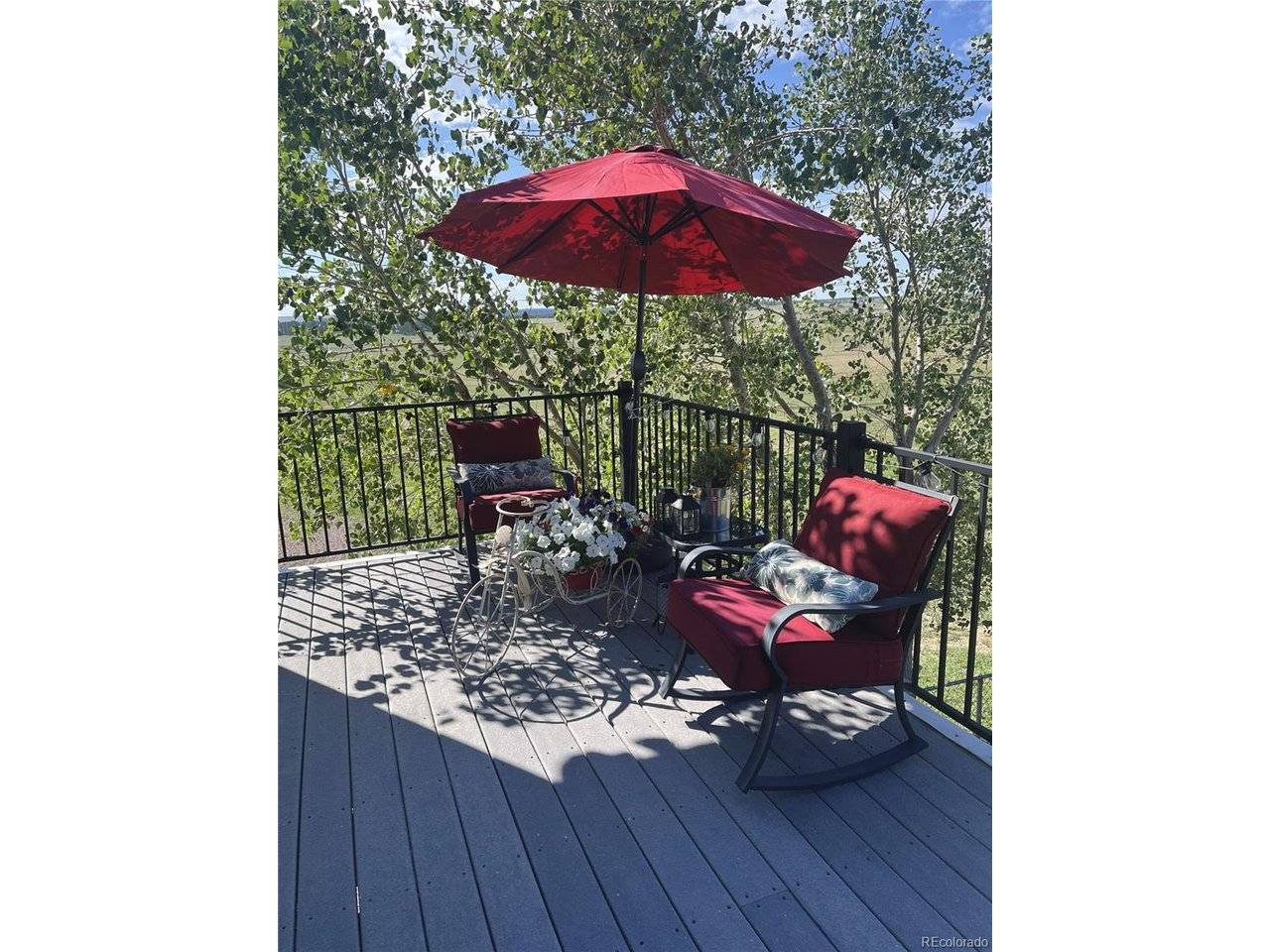 26846 Richards, Elizabeth, CO 80107