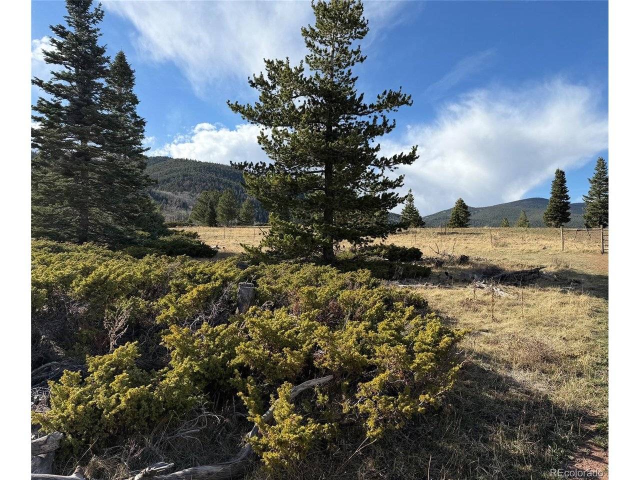 Panadero Loop, Cuchara, CO 81055