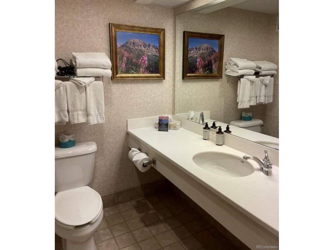 6 Emmons #269, Crested Butte, CO 81225