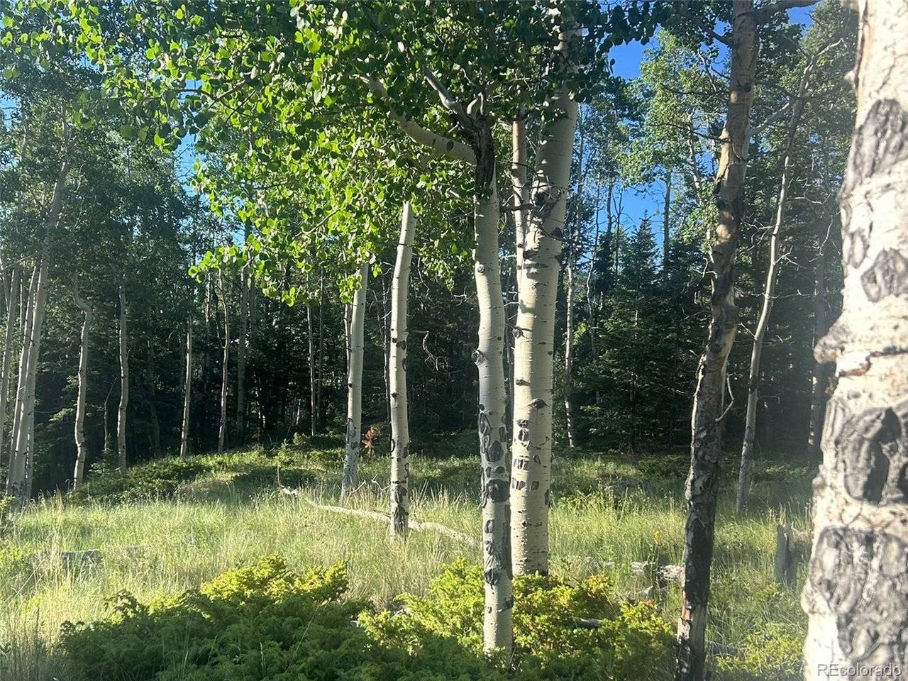 13 Bonanza, Villa Grove, CO 81155