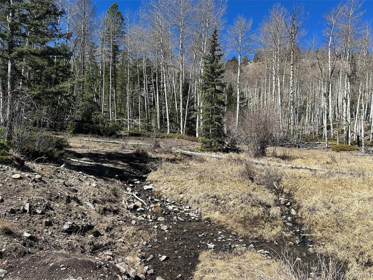 13 Bonanza, Villa Grove, CO 81155
