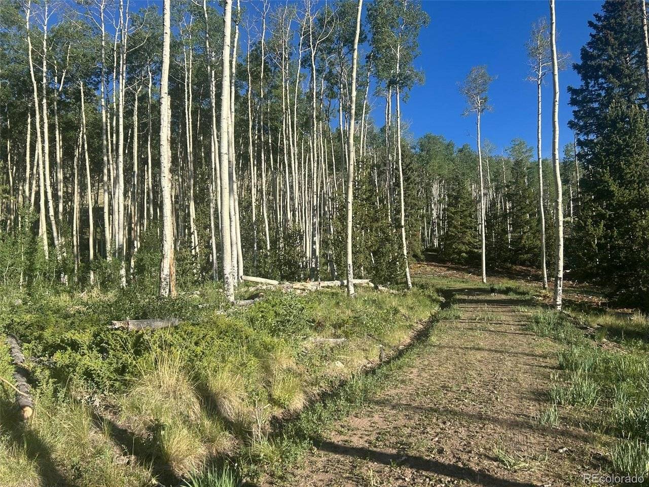 13 Bonanza, Villa Grove, CO 81155