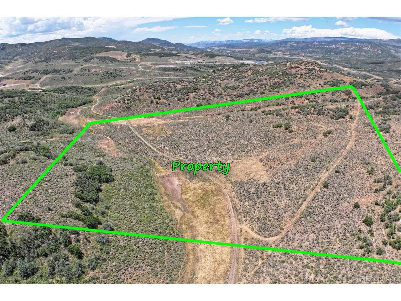 0 Harrison Creek, Collbran, CO 81624