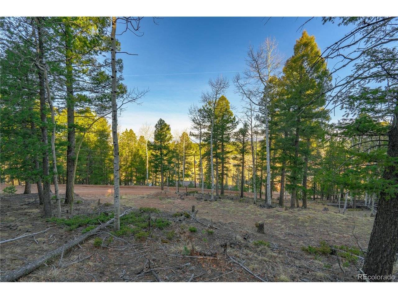 88 Malmsey, Divide, CO 80814