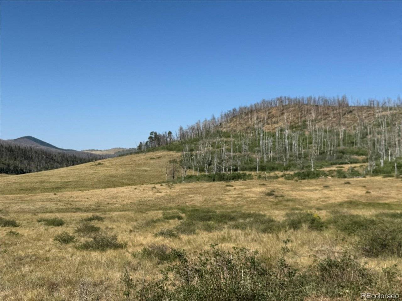 427 Kettleson, Fort Garland, CO 81133