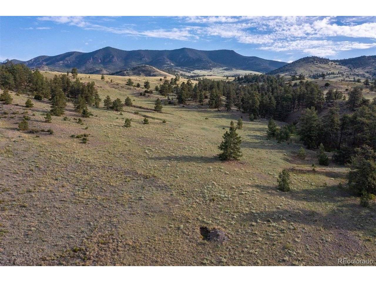 0 Big Buck, Guffey, CO 80820