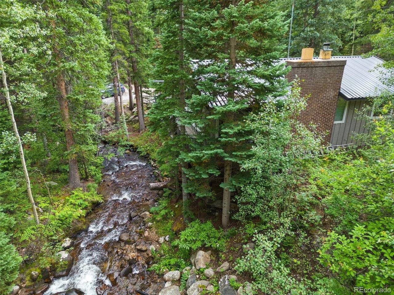 14 Moss, Dumont, CO 80436