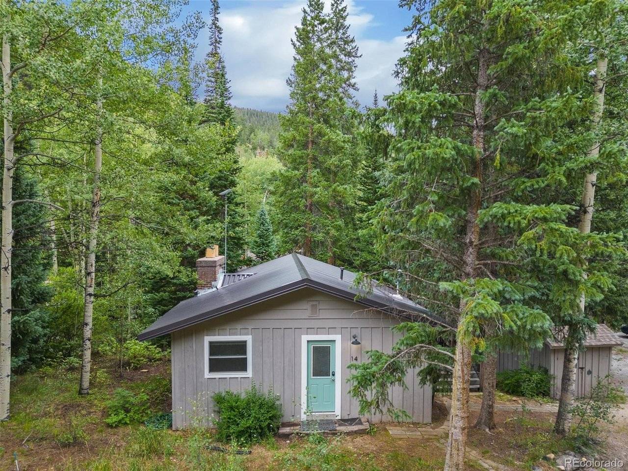 14 Moss, Dumont, CO 80436