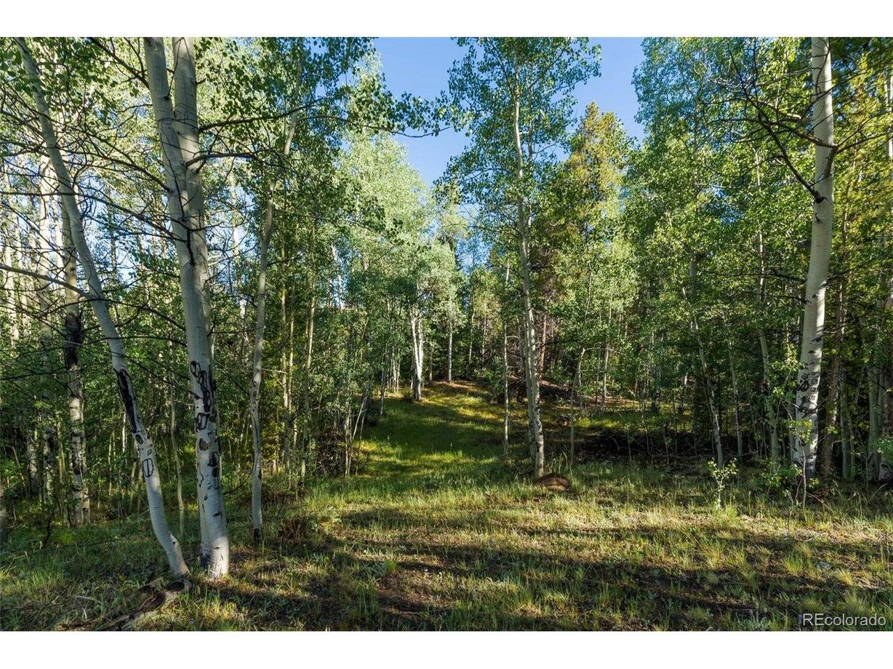 1 Snow Cap Peaks, Alma, CO 80440