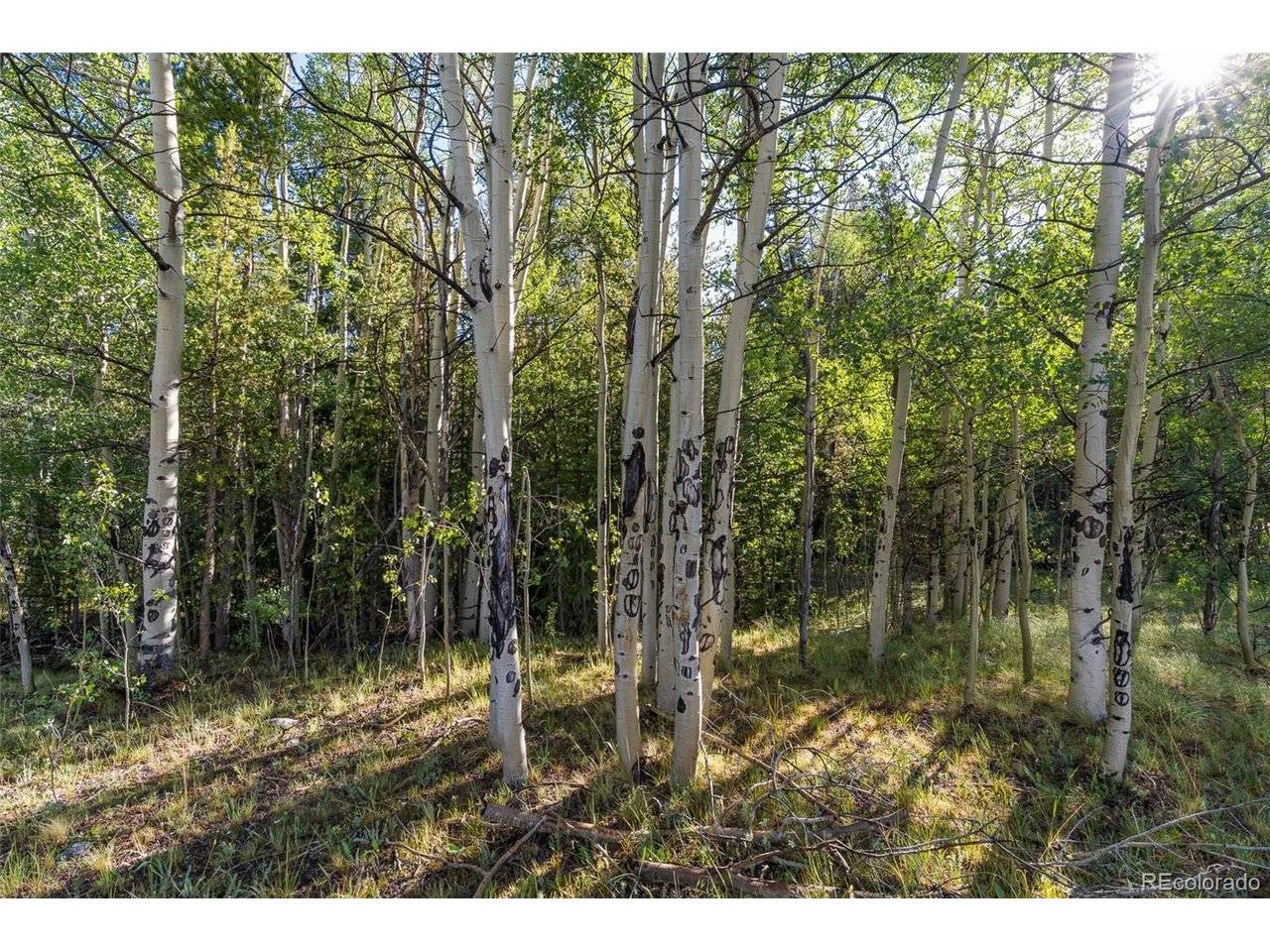 1 Snow Cap Peaks, Alma, CO 80440