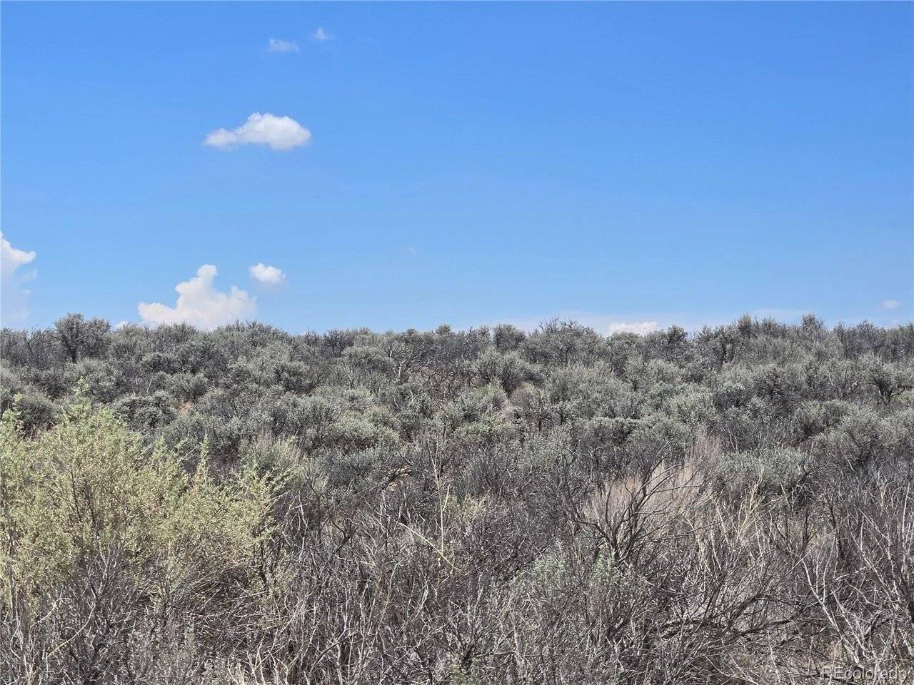 19 Antonito Trail, Mesita, CO 81152