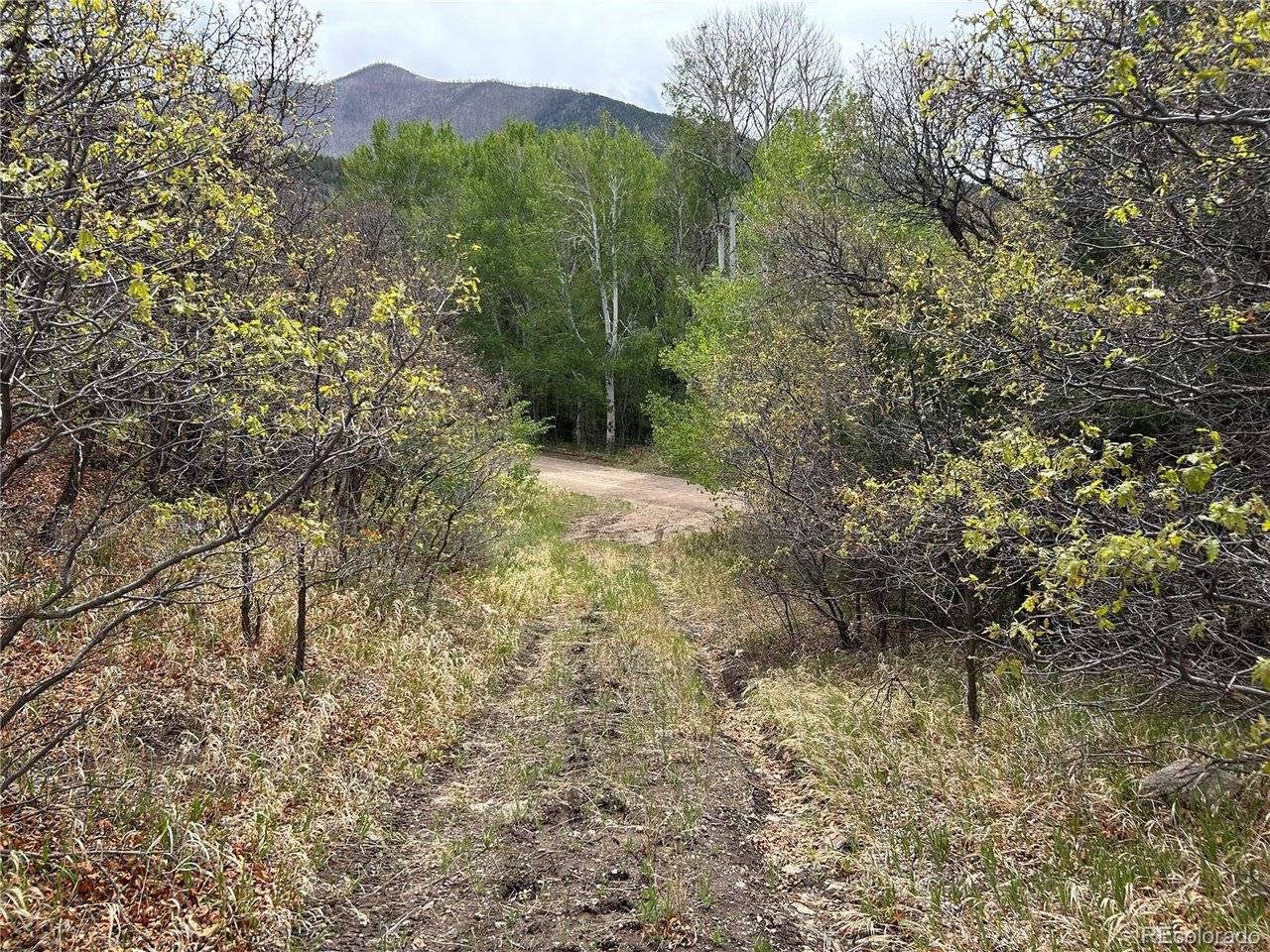 0 Pass Creek Rd, Gardner, CO 81040