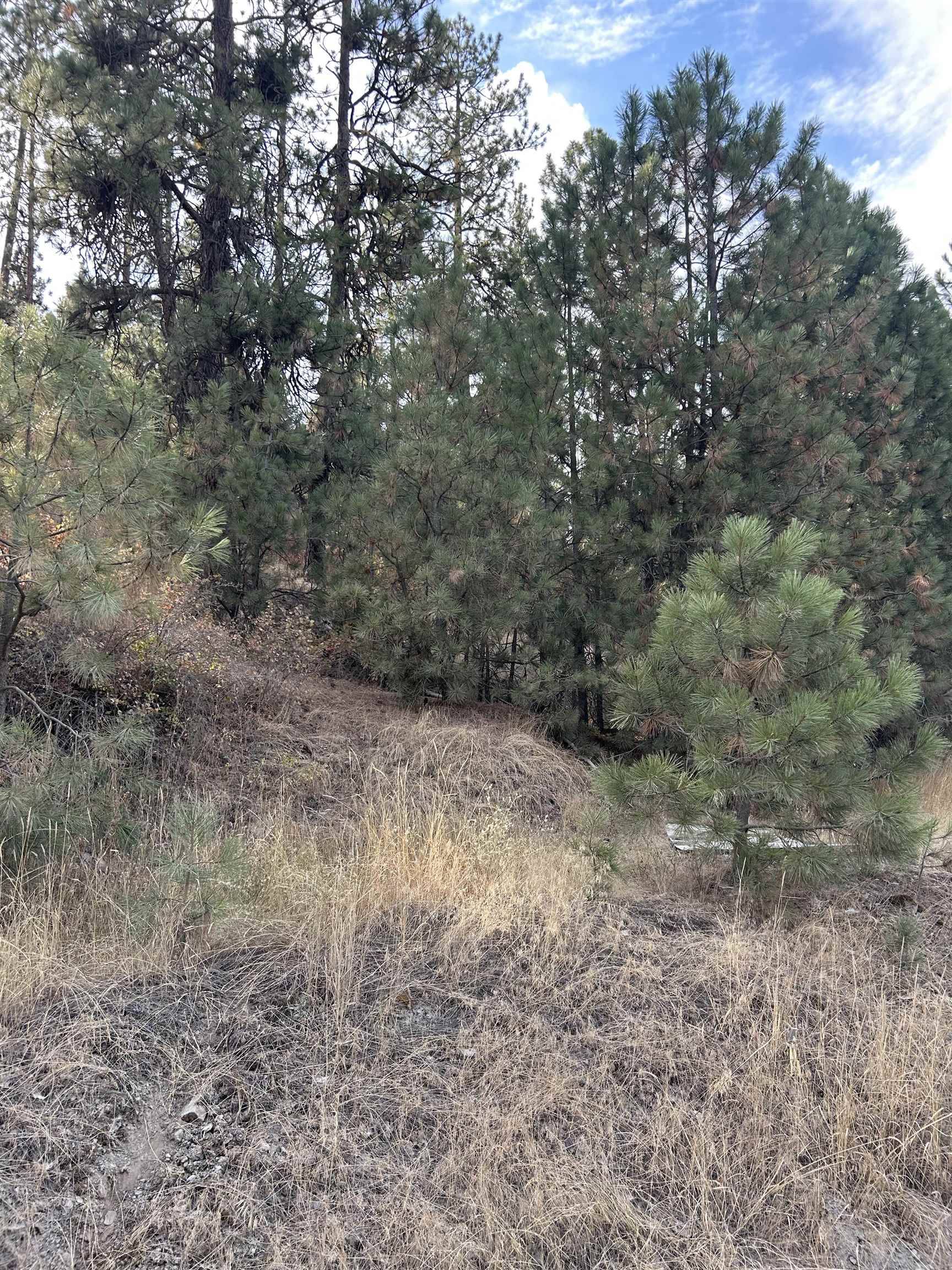 UNK UNK Rd, Liberty Lake, WA 99019