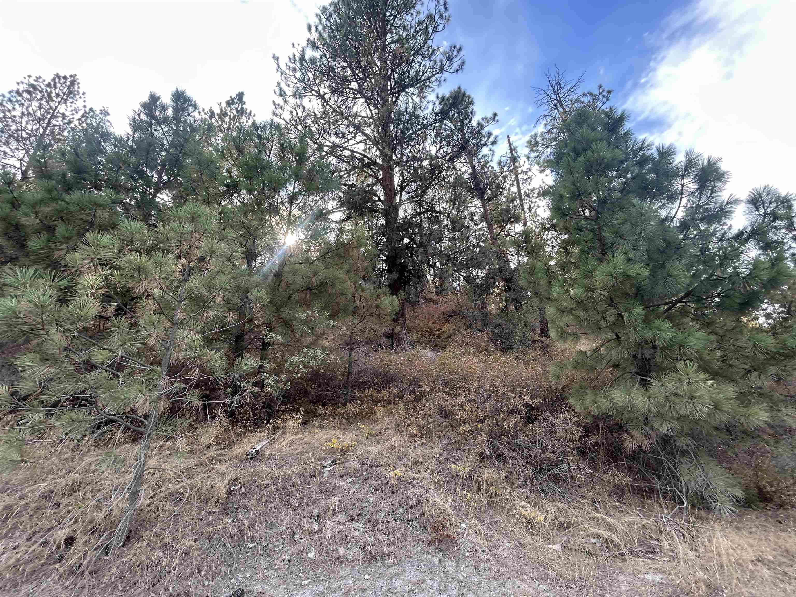 UNK UNK Rd, Liberty Lake, WA 99019