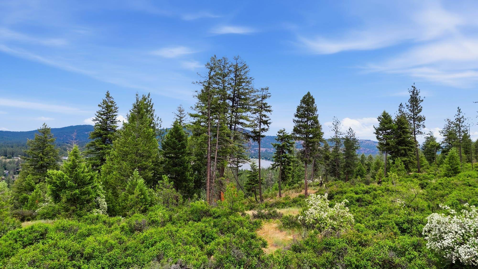 XXX W Highland Rd, Nine Mile Falls, WA 99026