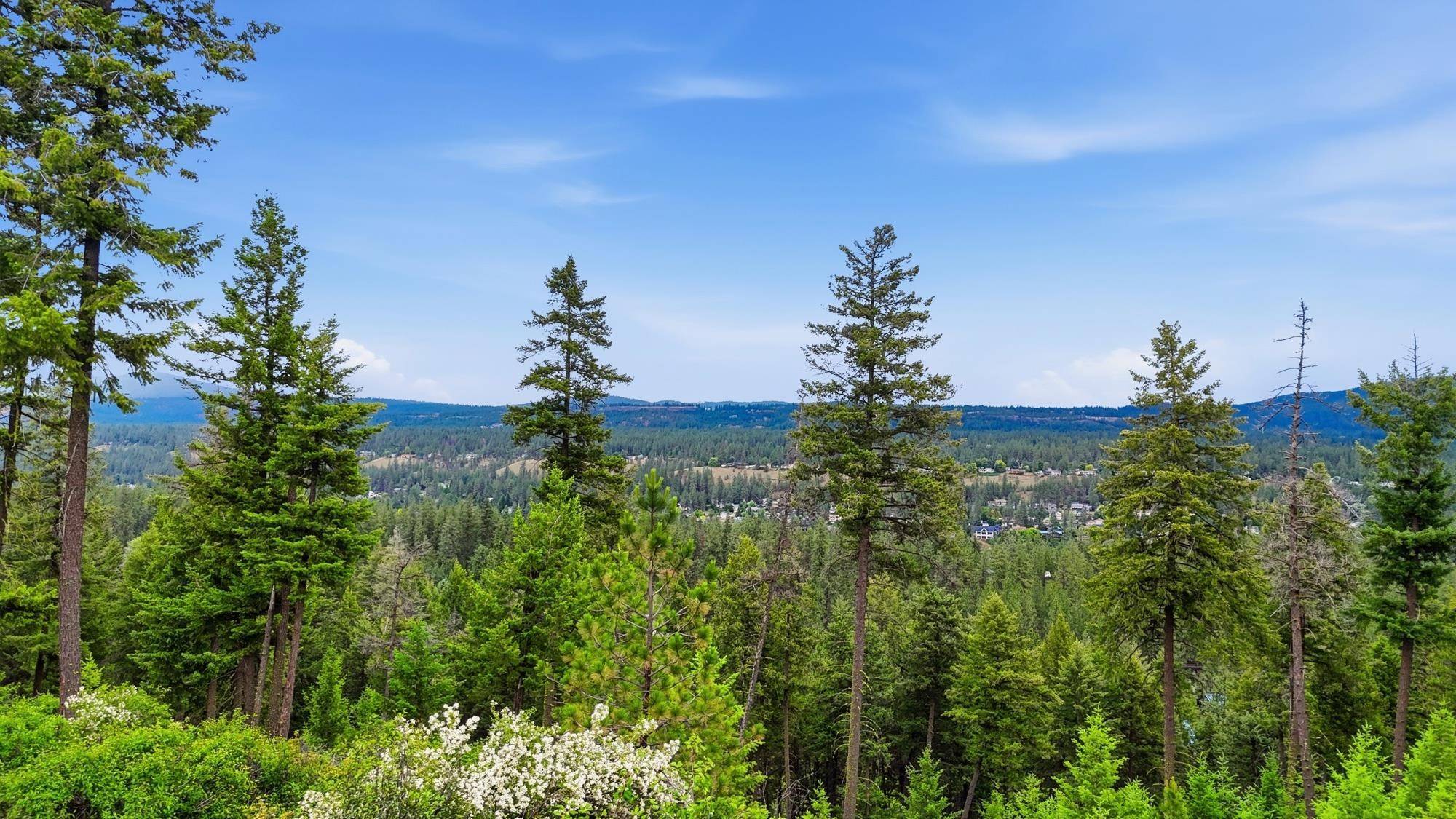 XXX W Highland Rd, Nine Mile Falls, WA 99026