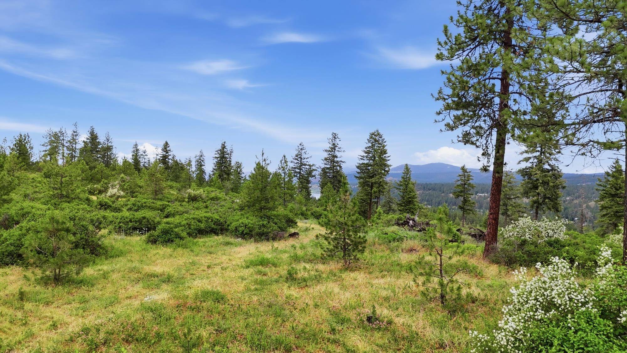 XXX W Highland Rd, Nine Mile Falls, WA 99026