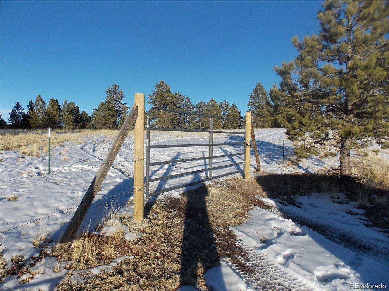 0 Twinkle, Guffey, CO 80820