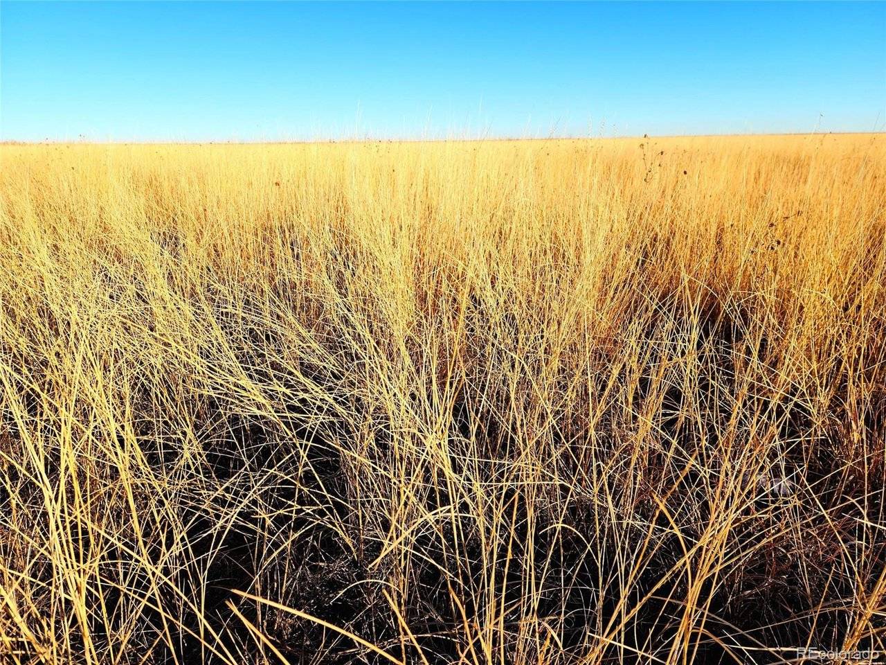 County Road 30, Eads, CO 81036