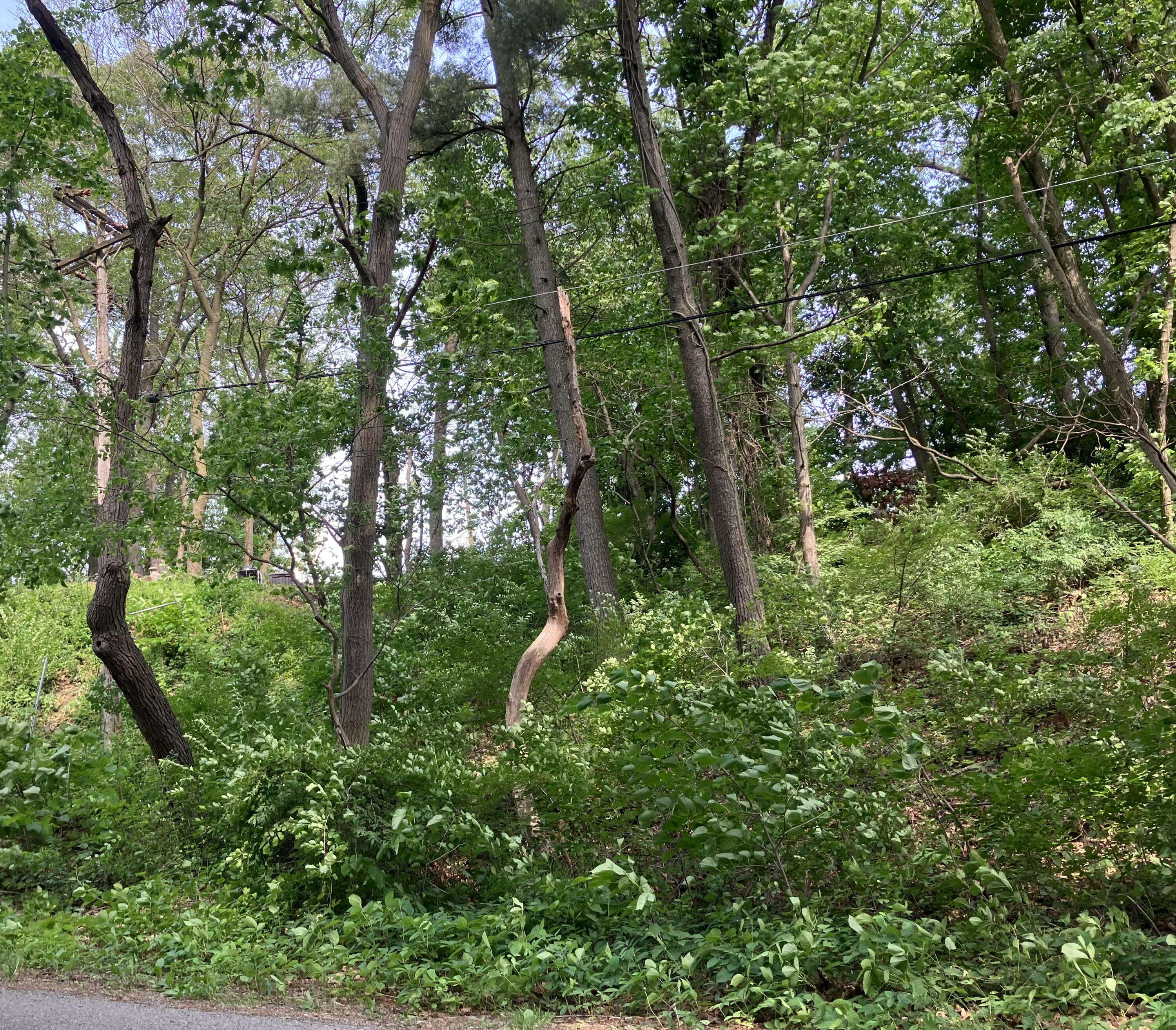98 Ogden RD, Ogden Dunes, IN 46368