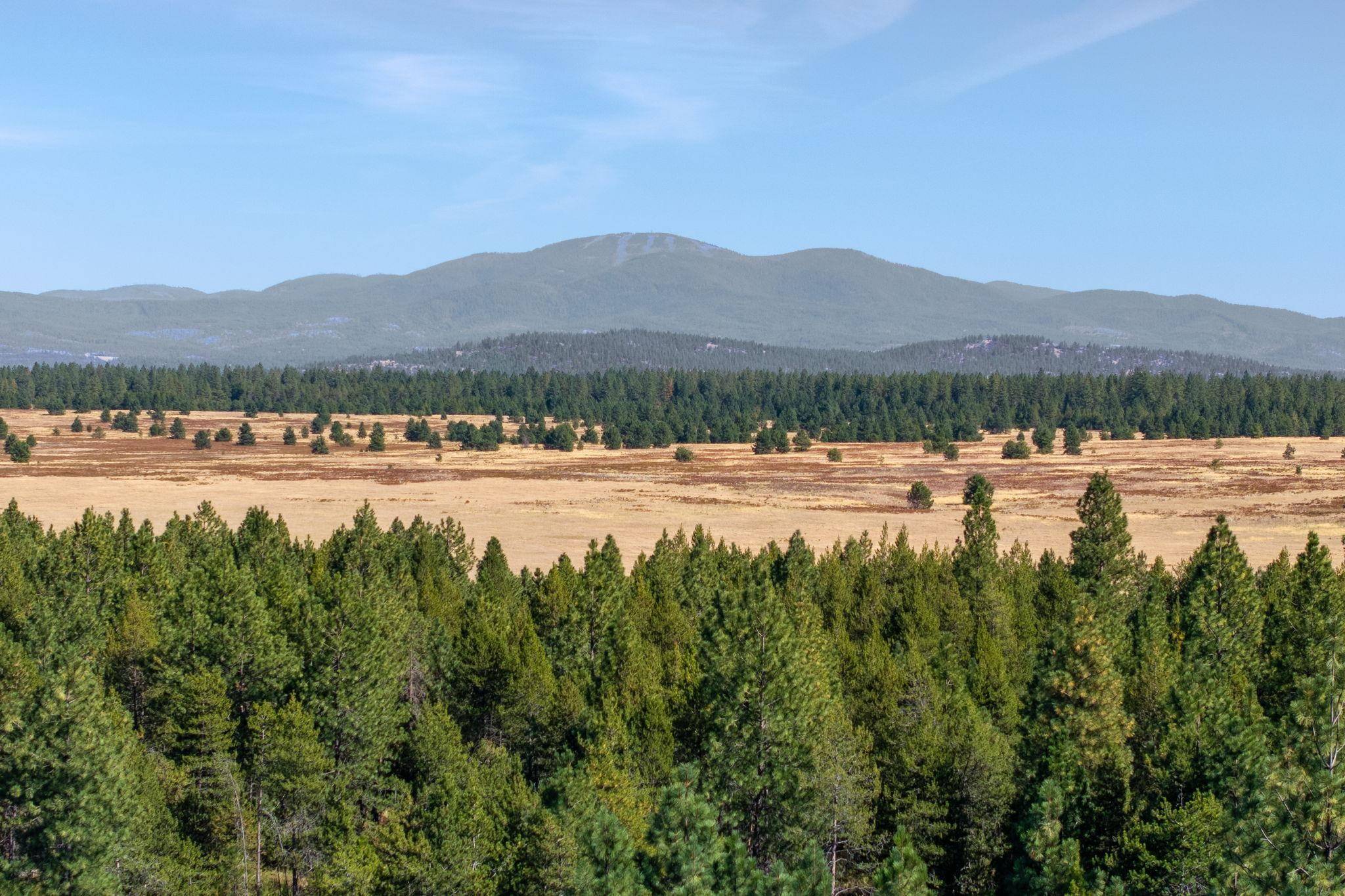 NKA E Slaton Rd #Lot 41, Deer Park, WA 99006