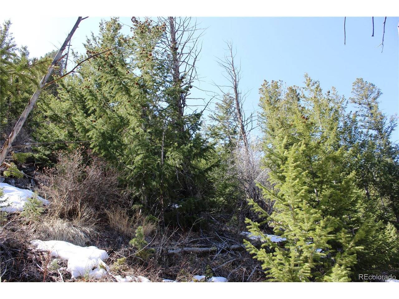 5404 Silver Creek, Georgetown, CO 80444