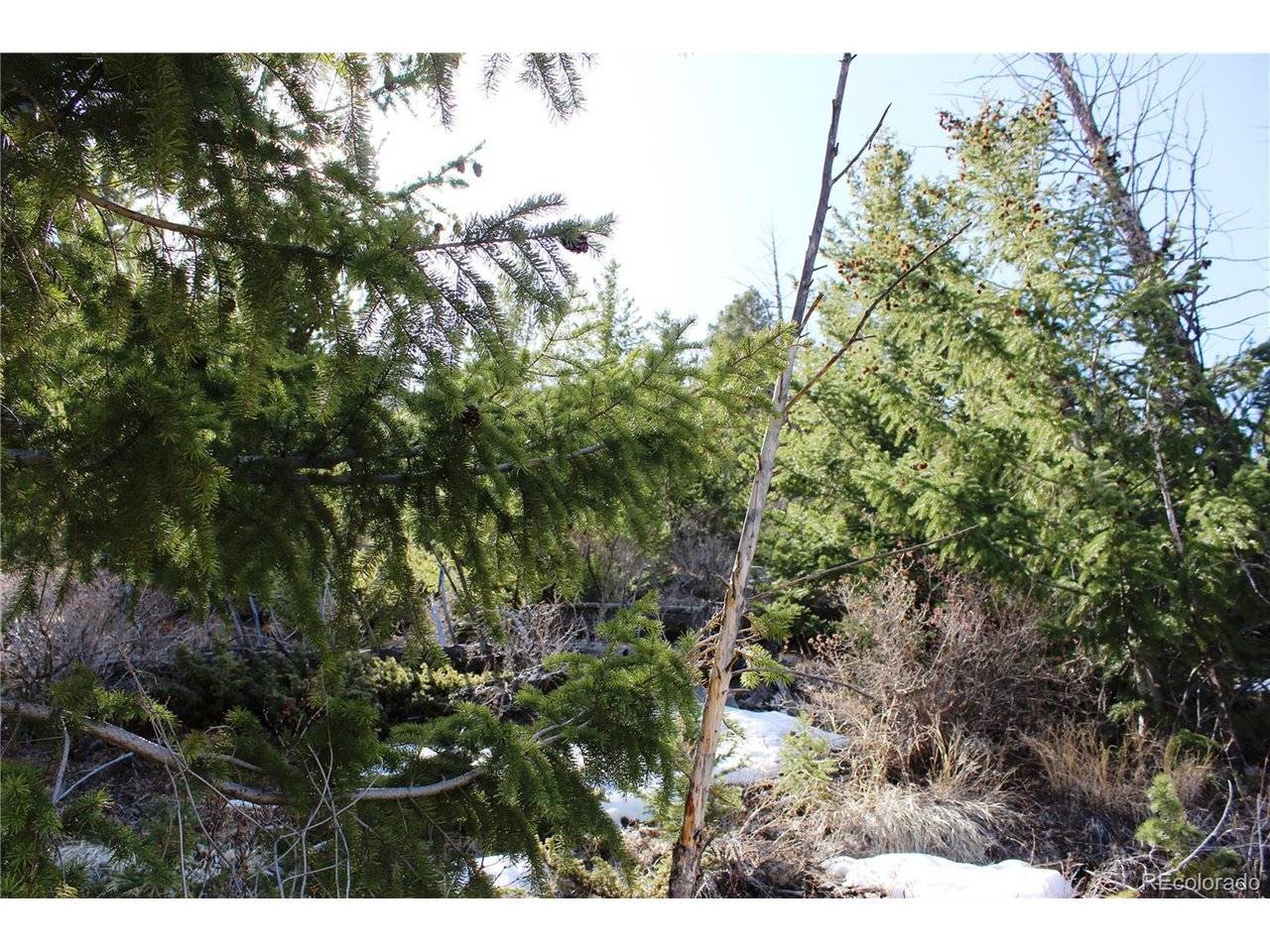 5404 Silver Creek, Georgetown, CO 80444