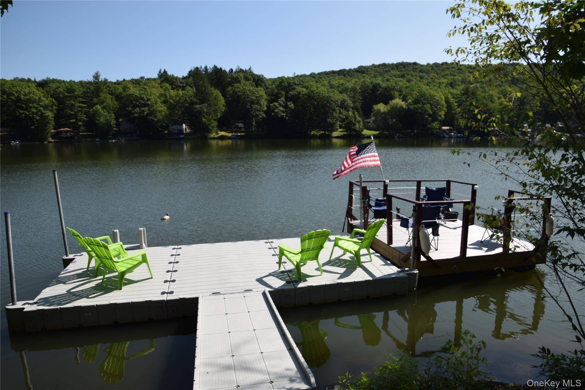 41 West Shore DR, Deposit, NY 13754