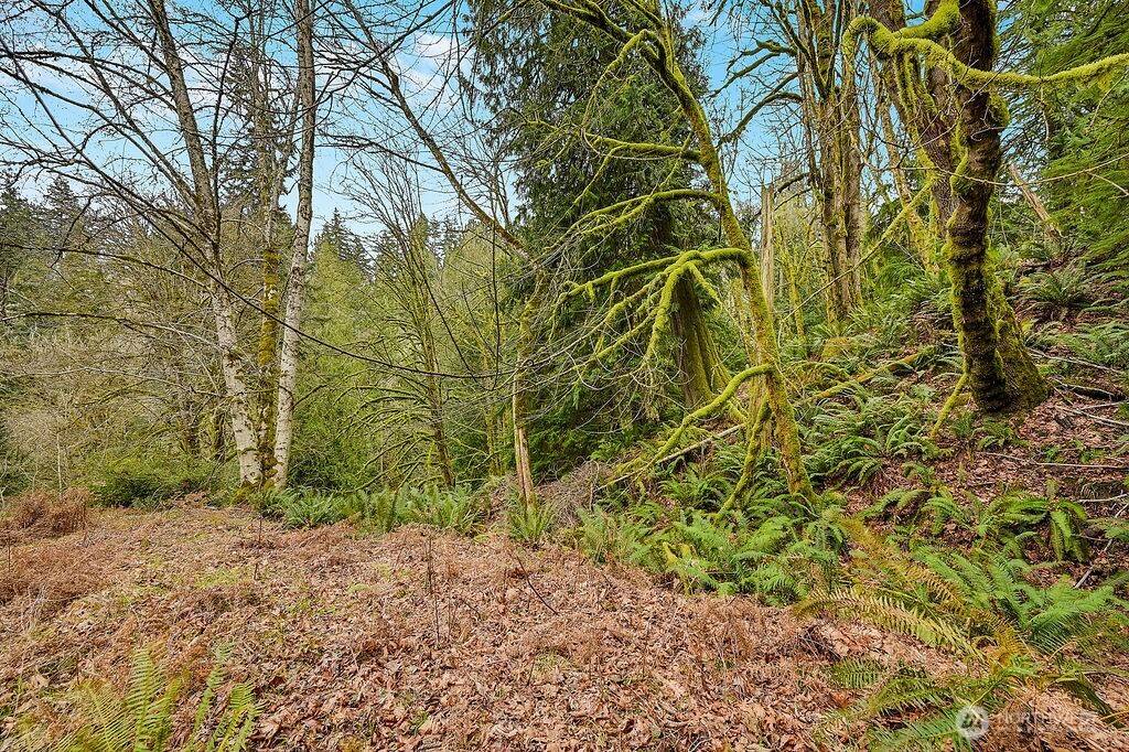 376 Beach DR, Quilcene, WA 98376