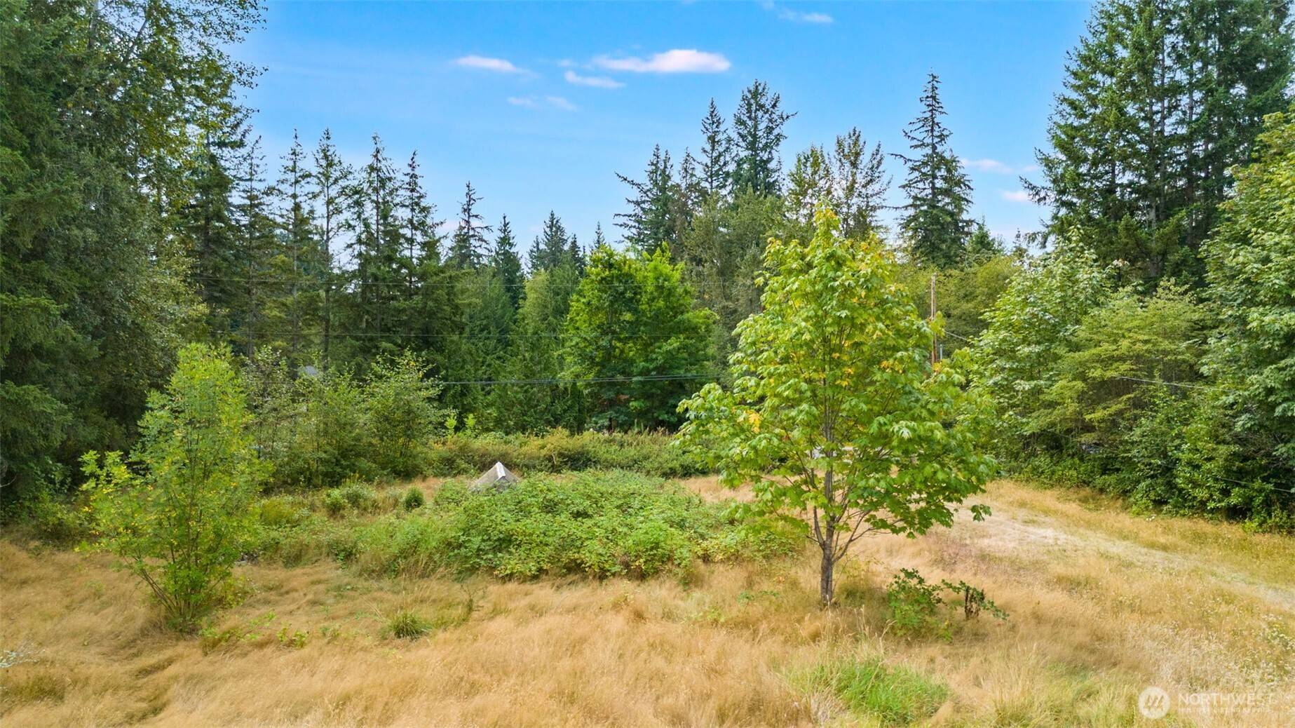25006 SE 224th ST, Maple Valley, WA 98038