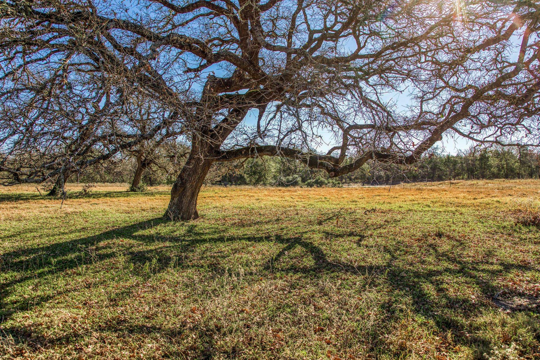 9354 Fm-2780, Burton, TX 77835