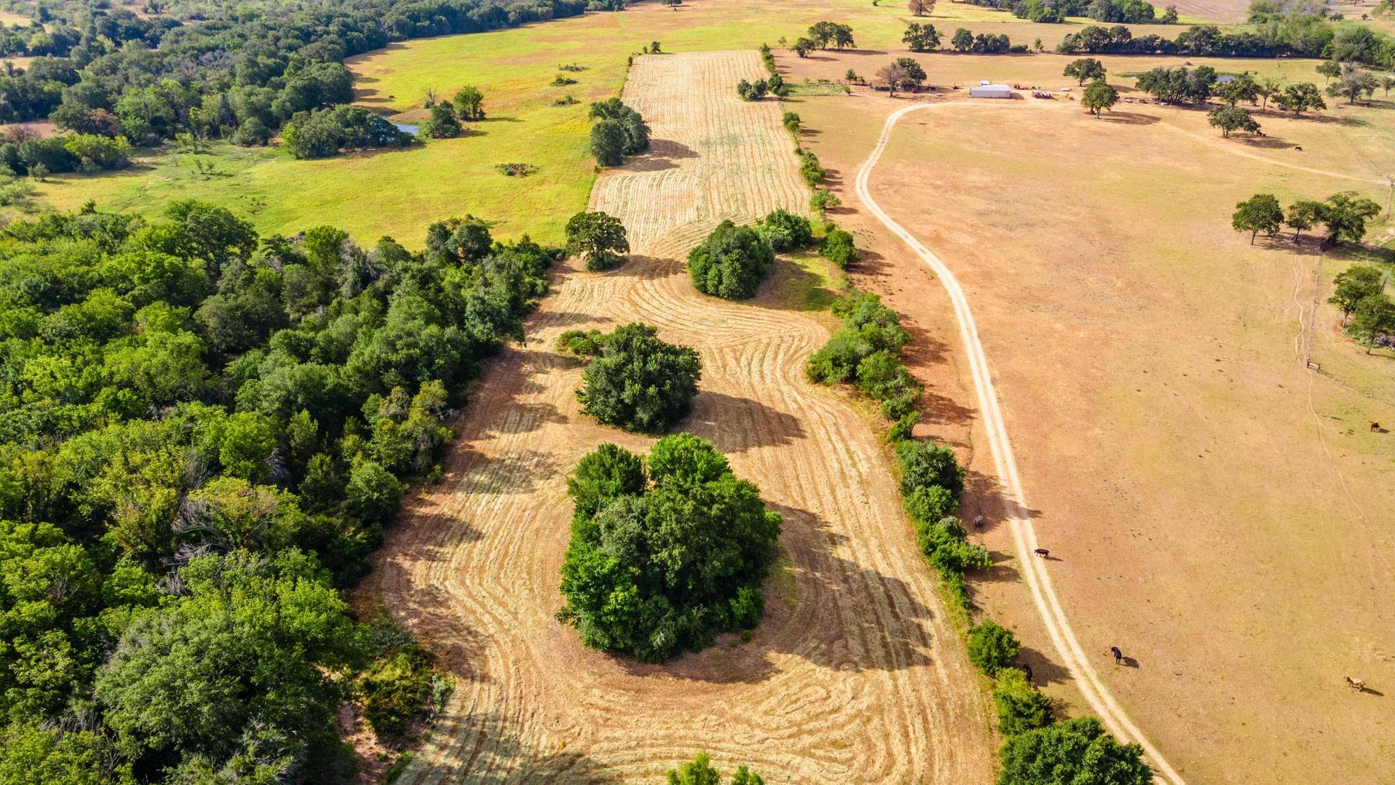 000 County Road 322, Milano, TX 76556