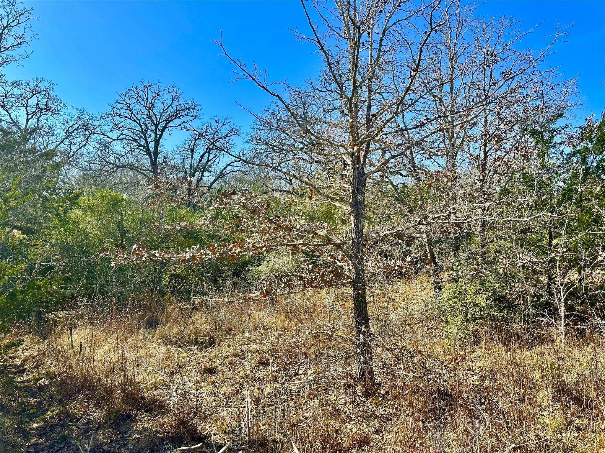Address not disclosed, Waelder, TX 78959