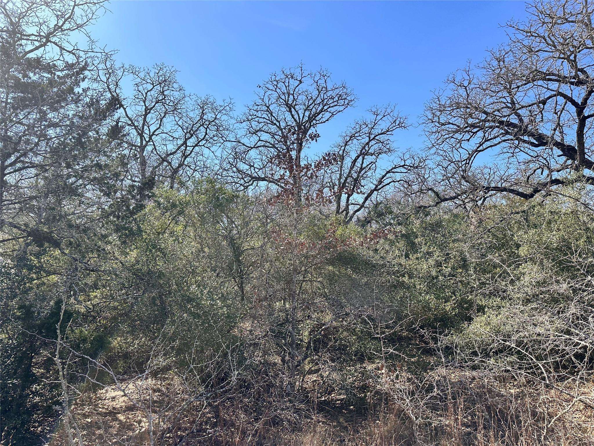 Address not disclosed, Waelder, TX 78959