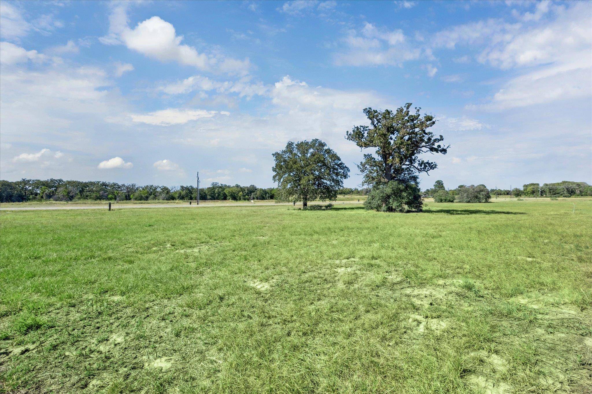 137 Waterbuck WAY, Rosanky, TX 78953