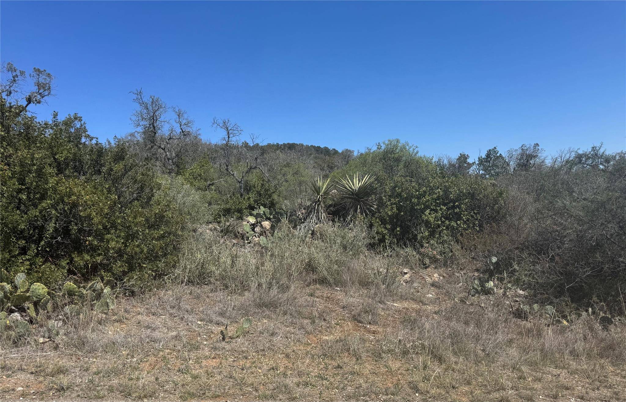 Lot 56 War Bonnet RDG, Kingsland, TX 78639