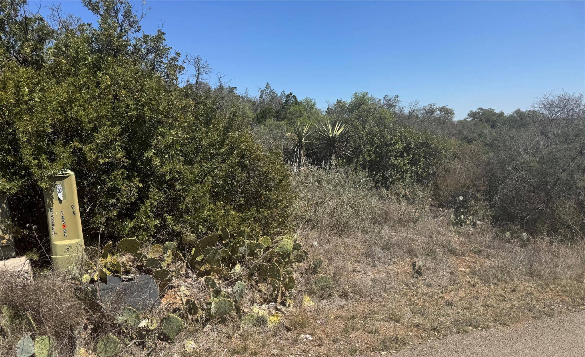 Lot 56 War Bonnet RDG, Kingsland, TX 78639